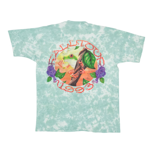 1993 Grateful Dead Fall Tour Tie Dye Shirt